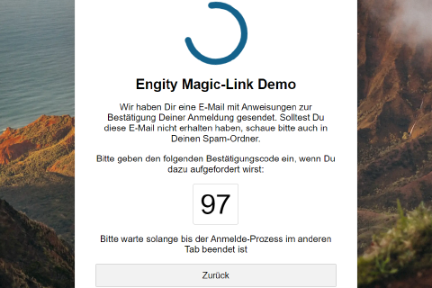 Anzeige der Spinner-Registerkarte bei der Anmeldung mit der Magic Link-Authentifizierungsmethode von Engity Screenshot des passwortlosen Magic Link Spinner-Prozesses von Engity