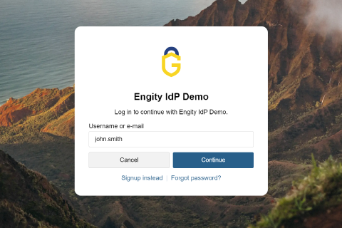 Screenshot of Engity's demo login screen