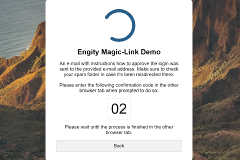 Screenshot of Engity's passwordless Magic Link spinner process