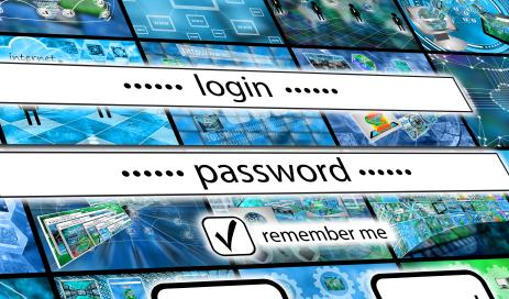 Zwei Eingabefelder für den Login und die Passworteingabe, die einen klassischen Passwort-Zugangsbildschirm zeigen